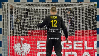 EM 2018: Du Hexer! Schweden-Keeper Palicka nicht zu schlagen