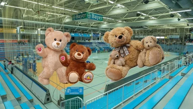 2. Liga: Teddy Bear Toss - In Dormagen regnet es Kuscheltiere für guten Zweck