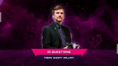 Logged in Festival - 24/7: 10 Questions to COACH Sheepy - Unicorns of Love -