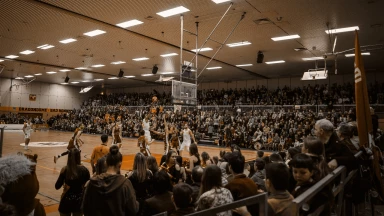 ProB: Dragons Rhöndorf vs. WWU Baskets Münster