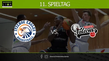 ProA: Itzehoe Eagles vs. Nürnberg Falcons BC