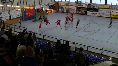 3. Liga: Zweibrücken und Konstanz im Fernduell um den schöneren Kempa