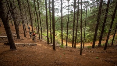 Absa Cape Epic 2021 - Stage 5: Steile Aufstiege auf dem Weg nach Val de Vie