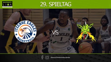 ProA: Itzehoe Eagles vs. Artland Dragons