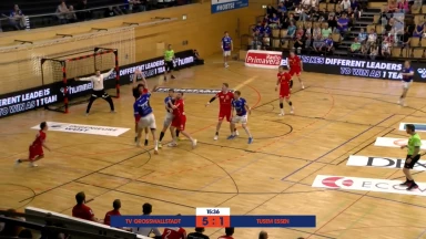 2. HBL: Heber, Rückraum-Tore und Paraden! Die Highlight des 36. Spieltags