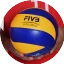 Volleyball-WM der Männer 2018