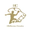 HC Elbflorenz 2006