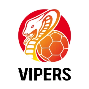 3. Liga Bad Wildungen Vipers Frauen