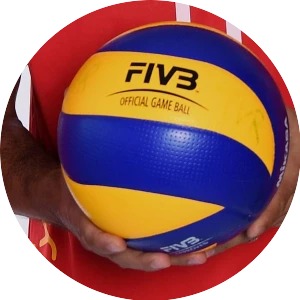 Volleyball WM der Herren 2014