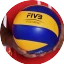 Volleyball WM der Herren 2014