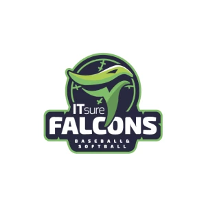 IT Sure Falcons Ulm