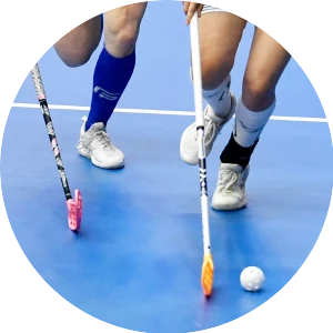 1. Floorball-Bundesliga Herren
