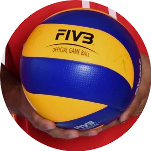 Volleyball WM der Männer 2014