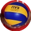 Volleyball WM der Männer 2014