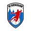 HC Burgenland