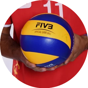 Volleyball-WM 2014
