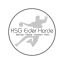 HSG Eider Harde Männer