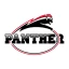 Düsseldorf Panther