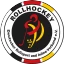 Rollhockey