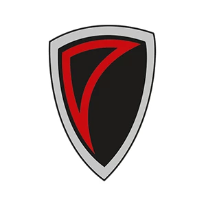 Solingen Paladins
