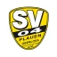 SV 04 Plauen-Oberlosa Männer