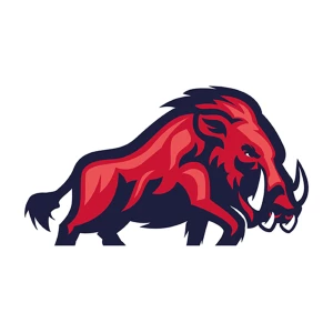 ifm Razorbacks Ravensburg