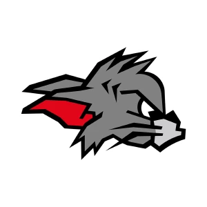 Kirchdorf Wildcats
