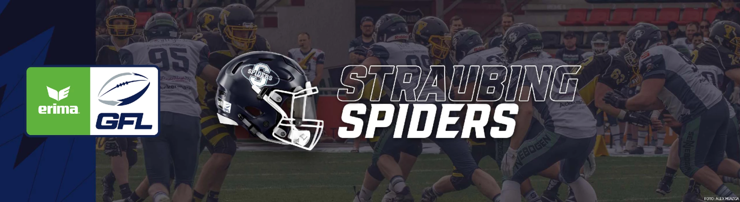 Straubing Spiders