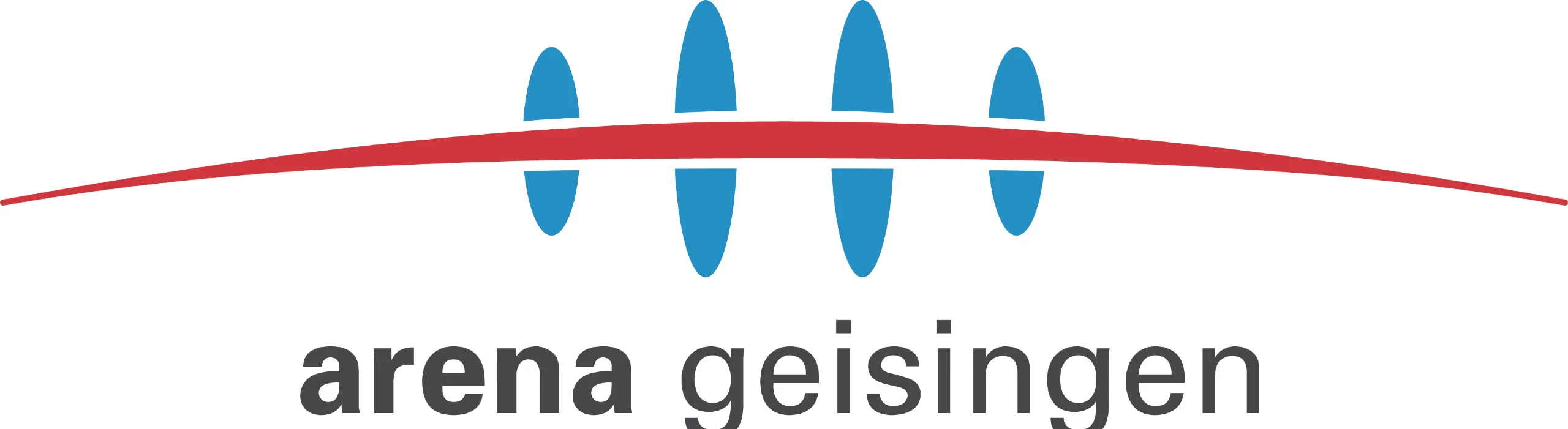 Arena Geisingen Races