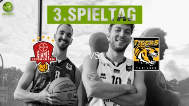ProA: Bayer Giants Leverkusen vs. Tigers Tübingen