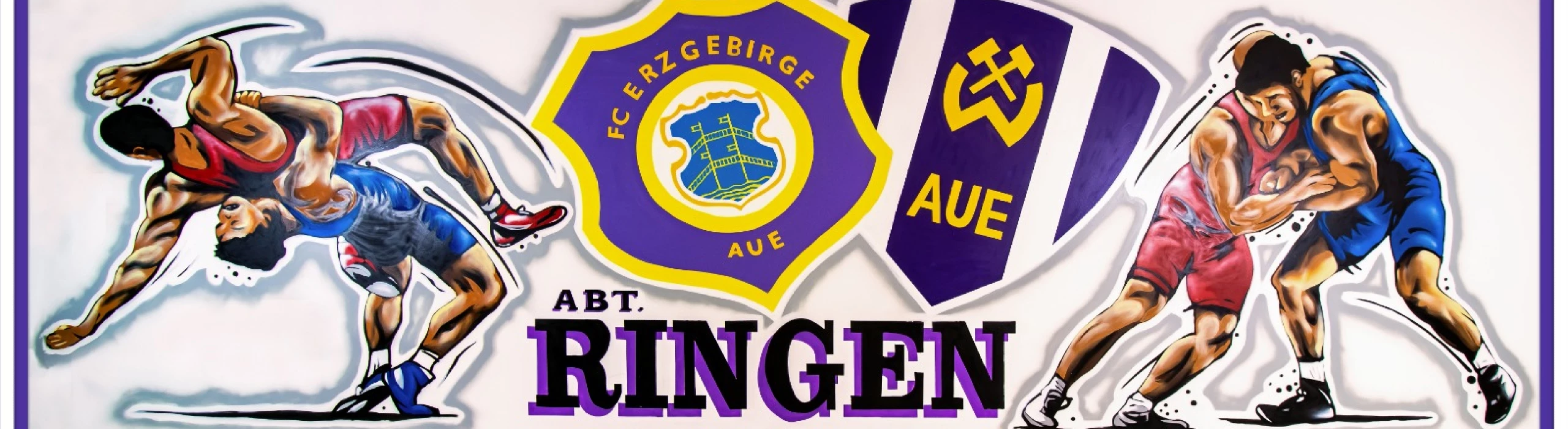 FC Erzgebirge Aue