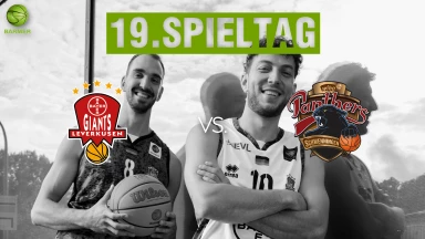 ProA: Bayer Giants Leverkusen vs. wiha Panthers Schwenningen