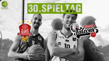 ProA: Bayer Giants Leverkusen vs. Nürnberg Falcons BC
