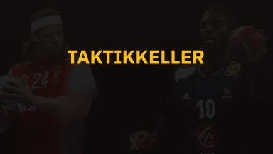 Taktikkeller - ein Sportdeutschland.TV-Original zur Handball-WM mit Maik und Karsten/Timo