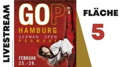 German Open Poomsae 2023  Poomsae - Freestyle - Para