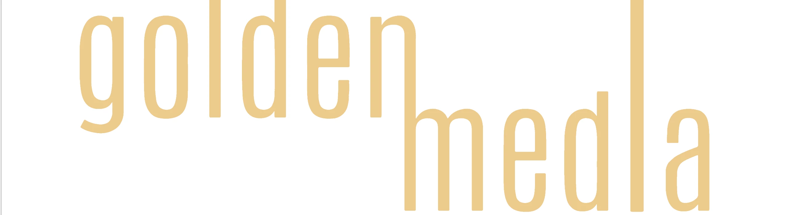 golden media entertainments - Luca Gaschler