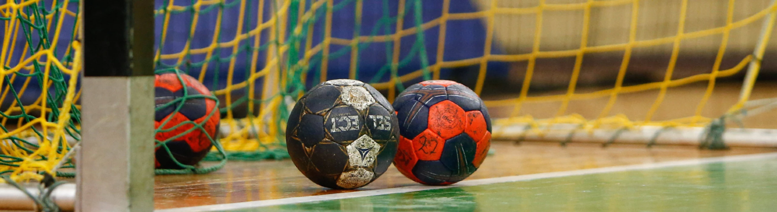 3. Handball-Liga Männer