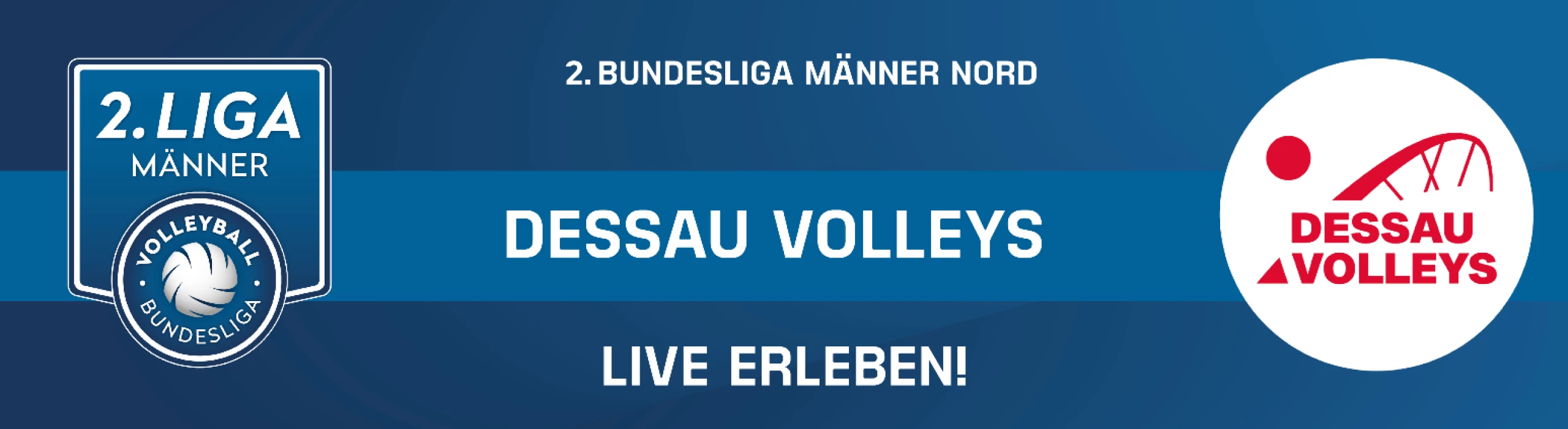 Dessau Volleys