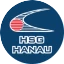 HSG Hanau Männer
