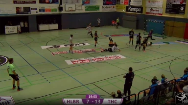 DHB-Pokal der Frauen: Der Rückhalt der Luchse!