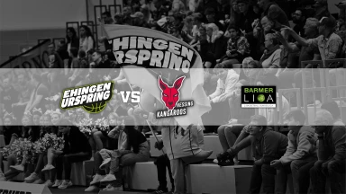 ProB: Team Ehingen Urspring vs. BG Hessing Leitershofen