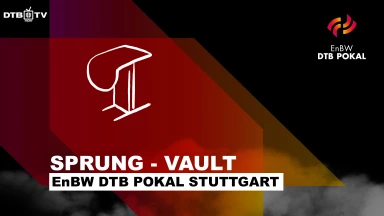 EnBW DTB Pokal Stuttgart – Männer Sprung - Vault