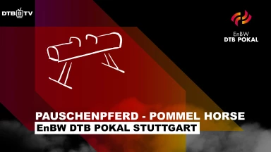 EnBW DTB Pokal Stuttgart – Männer Pauschenpferd - Pommel Horse