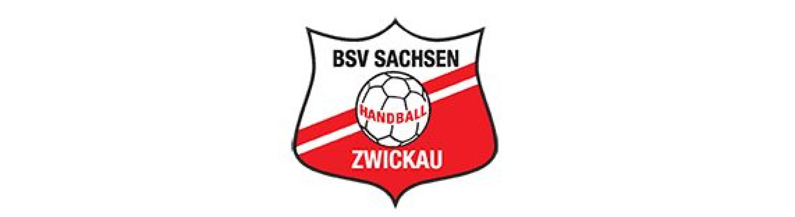 BSV Sachsen Zwickau Nachwuchs