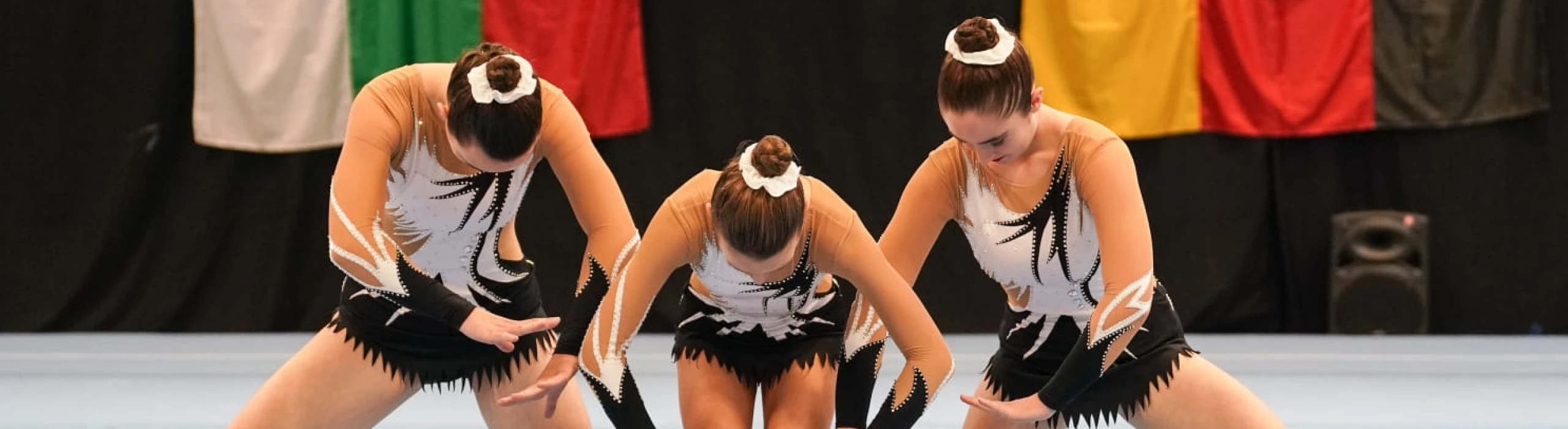 Wartburg Cup