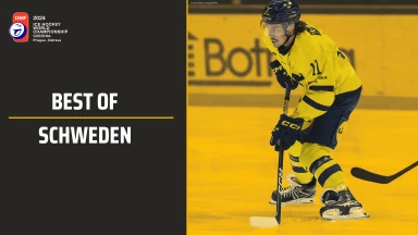 Best of Schweden