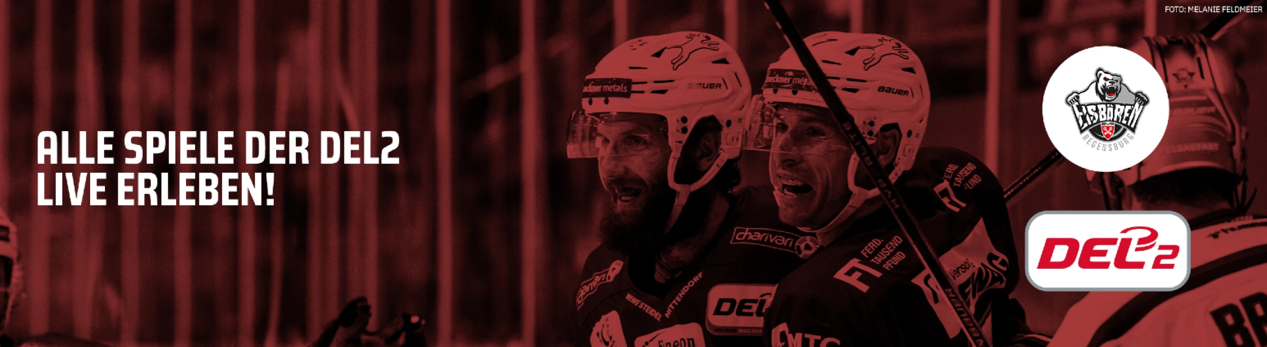 Eisbären Regensburg