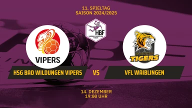 2. HBF: HSG Bad Wildungen Vipers vs. VfL Waiblingen