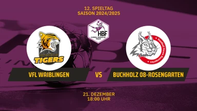 2. HBF: VfL Waiblingen vs. HL Buchholz 08-Rosengarten