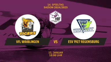 FOR FREE - 2. HBF: VfL Waiblingen vs. ESV 1927 Regensburg